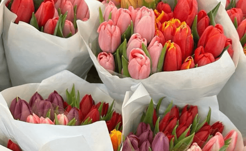 Fresh Spring Favorites